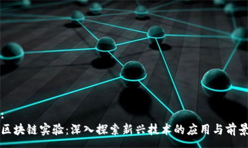 :
区块链实验:深入探索新兴技术的应用与前景