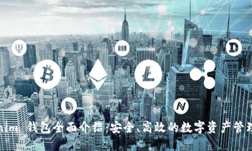 Tokenim 钱包全面介绍:安全、高效的数字资产管理工具