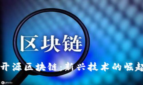 不完全开源区块链:新兴技术的崛起与挑战
