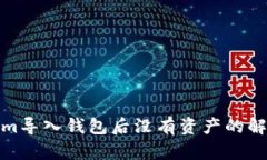 Tokenim导入钱包后没有资产