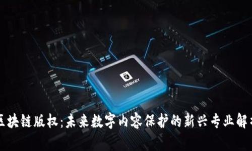 区块链版权:未来数字内容保护的新兴专业解析