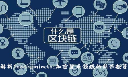 全面解析Tokenimimto:加密货币领域的新兴投资机会