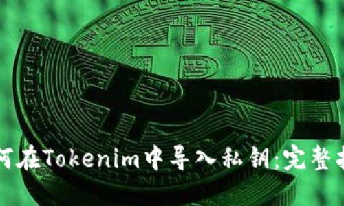 如何在Tokenim中导入私钥:完整指南