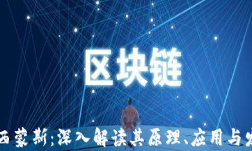 
区块链西蒙斯：深入解读其原理、应用与发展前景