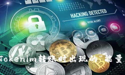 如何解决Tokenim转账时出现的“能量不足”问题