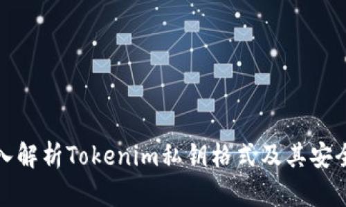 深入解析Tokenim私钥格式及其安全性
