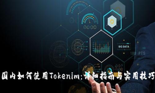 国内如何使用Tokenim:详细指南与实用技巧