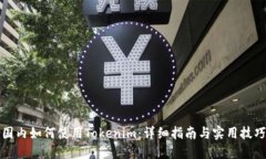 国内如何使用Tokenim：详细