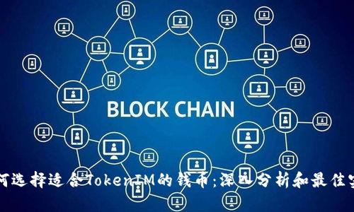 如何选择适合TokenIM的钱币:深入分析和最佳实践