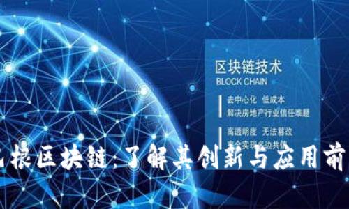 巴根区块链:了解其创新与应用前景