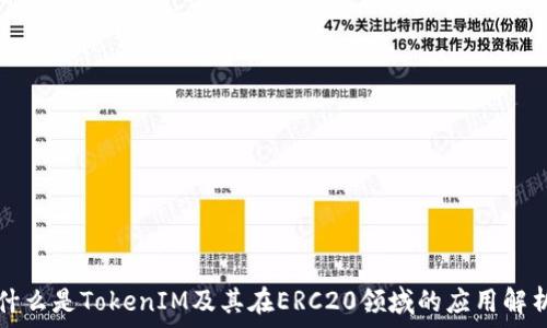什么是TokenIM及其在ERC20领域的应用解析