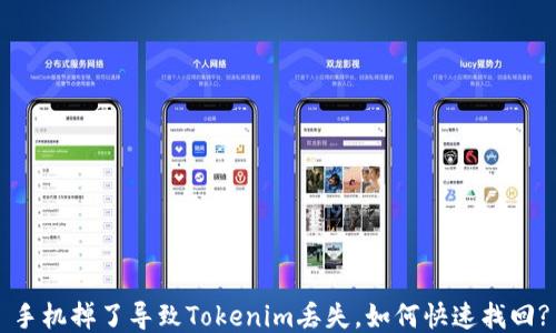 手机掉了导致Tokenim丢失,如何快速找回?