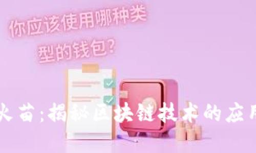 区块链火苗:揭秘区块链技术的应用与发展