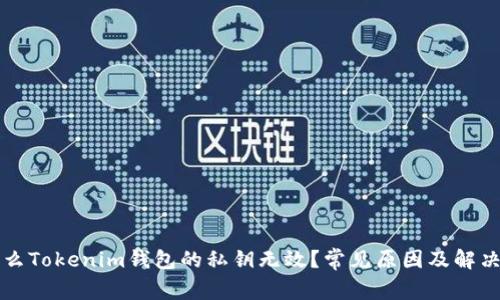为什么Tokenim钱包的私钥无效?常见原因及解决方案