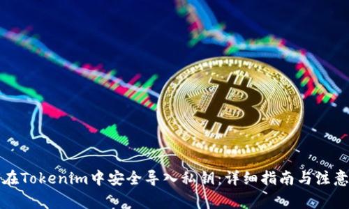 如何在Tokenim中安全导入私钥:详细指南与注意事项
