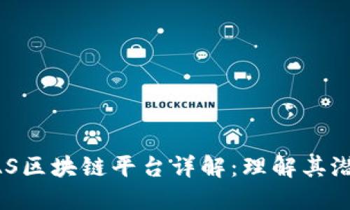 ### SAS区块链平台详解：理解其潜力与应用