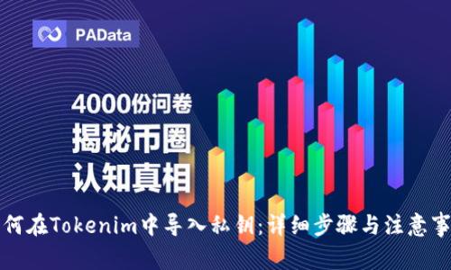 如何在Tokenim中导入私钥:详细步骤与注意事项