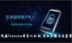 如何在Tokenim中导入私钥：