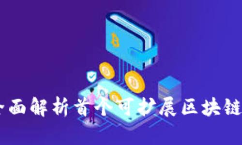 1st区块链：全面解析首个可扩展区块链的概念与应用