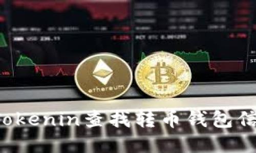 : 如何使用Tokenin查找转币钱包信息：全面指南