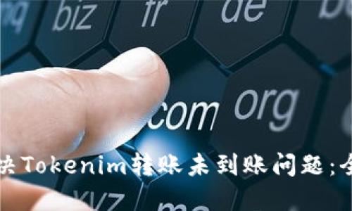 如何解决Tokenim转账未到账问题:全面指南