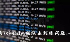 如何解决Tokenim转账未到账