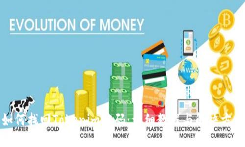 如何找回Tokenim密码:详细教程与解决方案