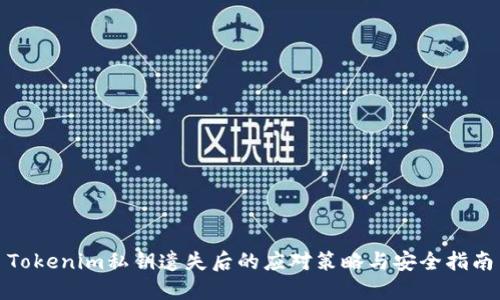 Tokenim私钥遗失后的应对策略与安全指南