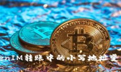 如何处理TokenIM转账中的小