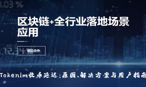 Tokenim收币延迟:原因、解决方案与用户指南