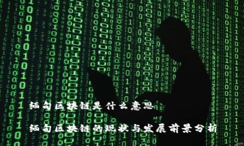 缅甸区块链是什么意思
缅甸区块链的现状与发展前景分析