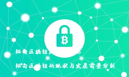 缅甸区块链是什么意思
缅甸区块链的现状与发展前景分析