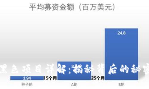 区块链黑色项目详解:揭秘背后的秘密与风险