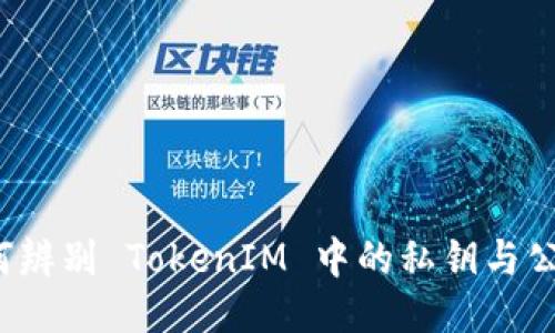如何辨别 TokenIM 中的私钥与公钥?