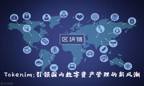 Tokenim:引领国内数字资产管理的新风潮