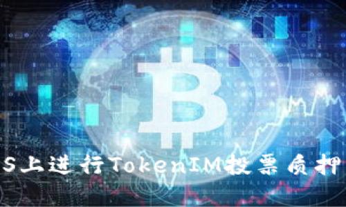如何在EOS上进行TokenIM投票质押:全面指南