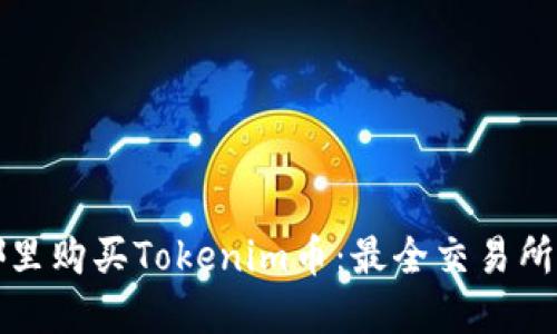 在哪里购买Tokenim币：最全交易所指南
