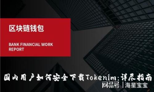 国内用户如何安全下载Tokenim:详尽指南
