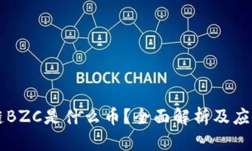 区块链BZC是什么币?全面解析及应用前景