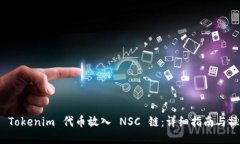 如何将 Tokenim 代币放入 
