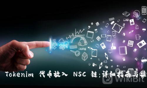 如何将 Tokenim 代币放入 NSC 链:详细指南与操作步骤