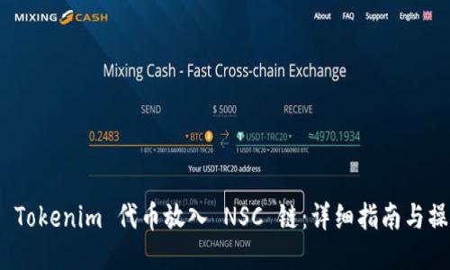 如何将 Tokenim 代币放入 NSC 链:详细指南与操作步骤