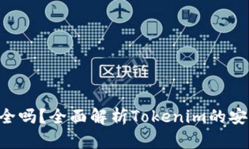 Tokenim安全吗?全面解析Tokenim的安全性与风险