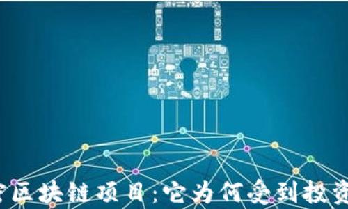 揭秘秘密区块链项目:它为何受到投资者青睐?