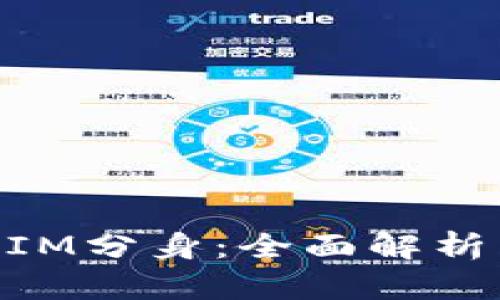 苹果TokenIM分身:全面解析与实用指南