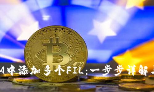 如何在TokenIM中添加多个FIL:一步步详解与常见问题解答