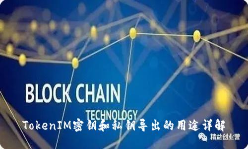 TokenIM密钥和私钥导出的用途详解