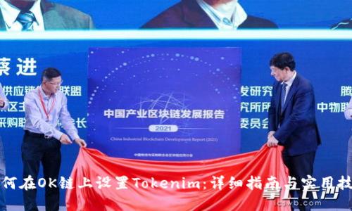 如何在OK链上设置Tokenim:详细指南与实用技巧