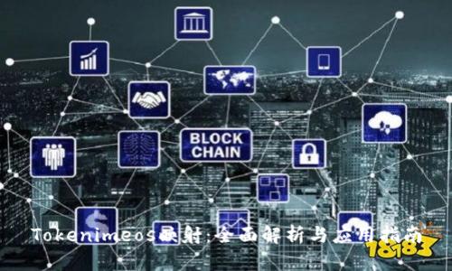 Tokenimeos映射:全面解析与应用指南