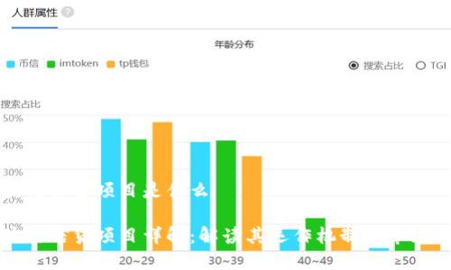 区块链信贷项目是什么
区块链信贷项目详解:解读其运作机制与市场前景